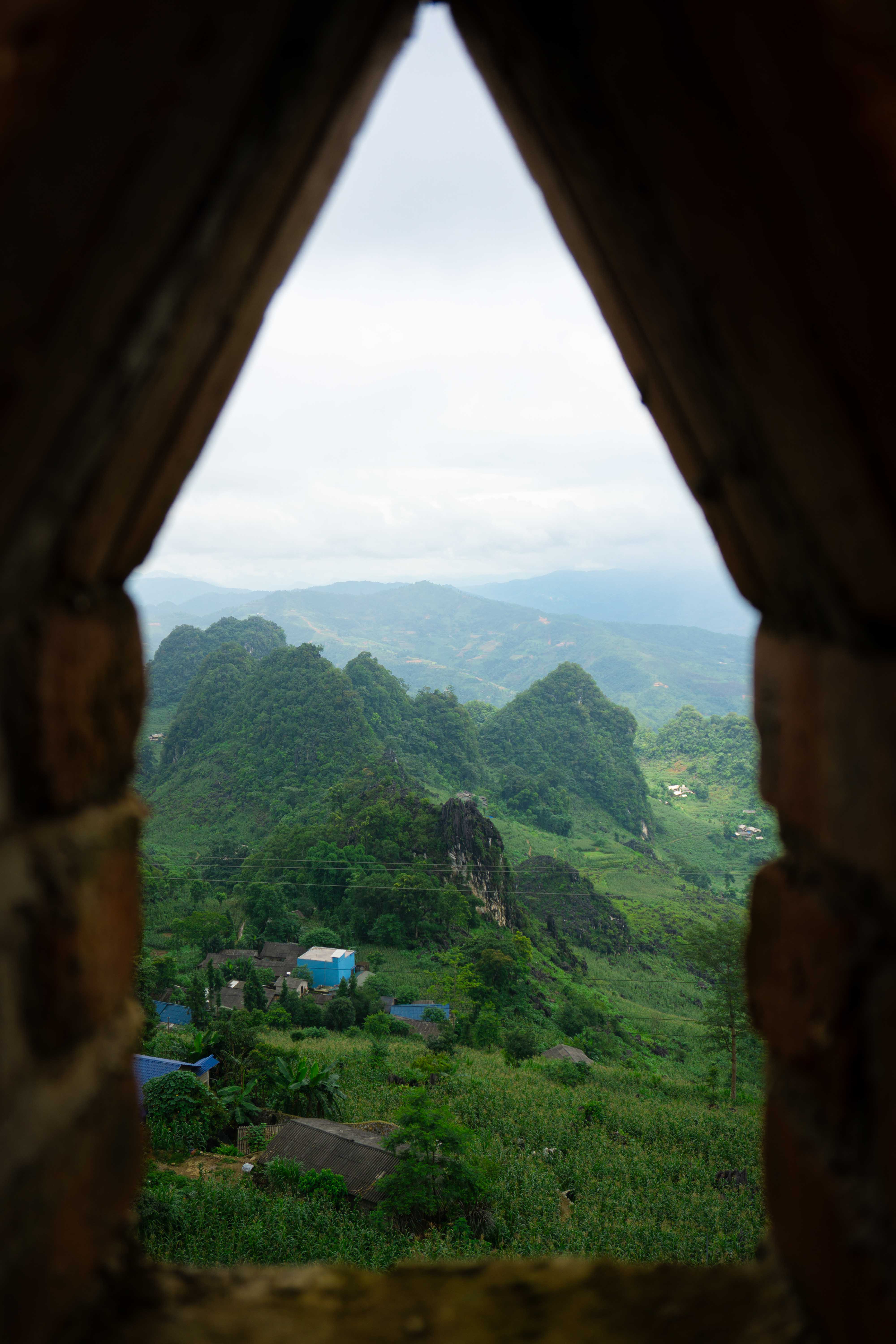 Paysage vert